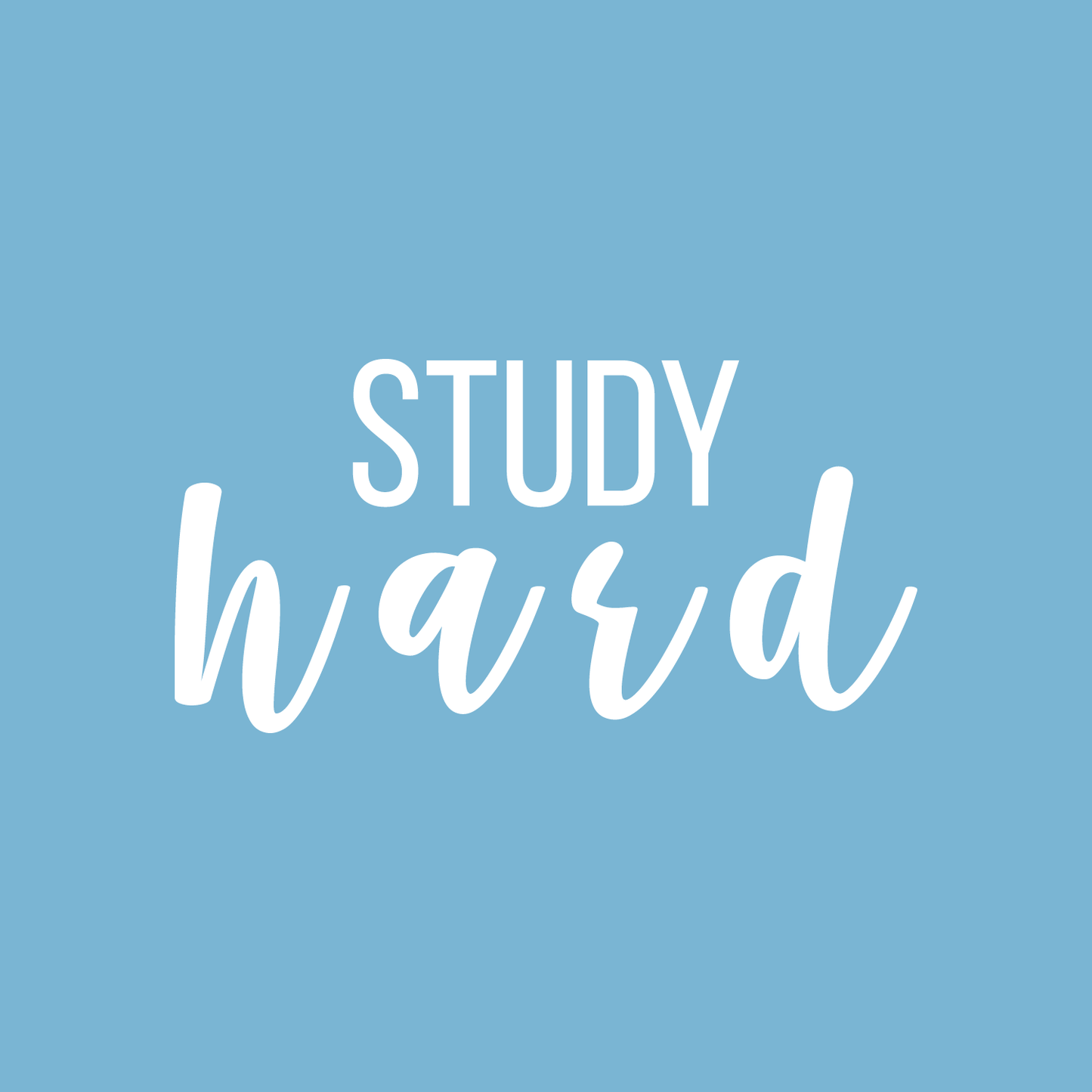 Vinyl Wall Art Decal - Study Hard - 11" x 22" - Modern Motivational Educational Quote Sticker for Teen Bedroom Home Closet Kids Room Work Office School Classroom Nursery Decor
