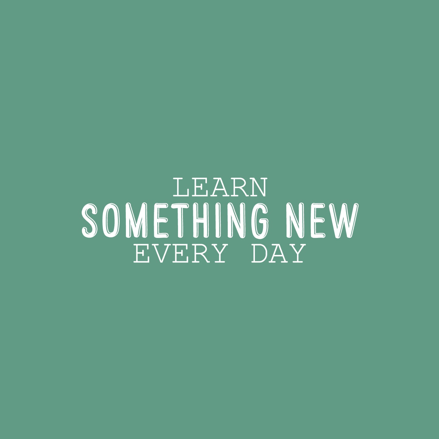 Vinyl Wall Art Decal - Learn Something New Every Day - 9" x 30" - Modern Fun Positive Classroom Quote Sticker for Home Living Room Playroom School Library Educational Decor