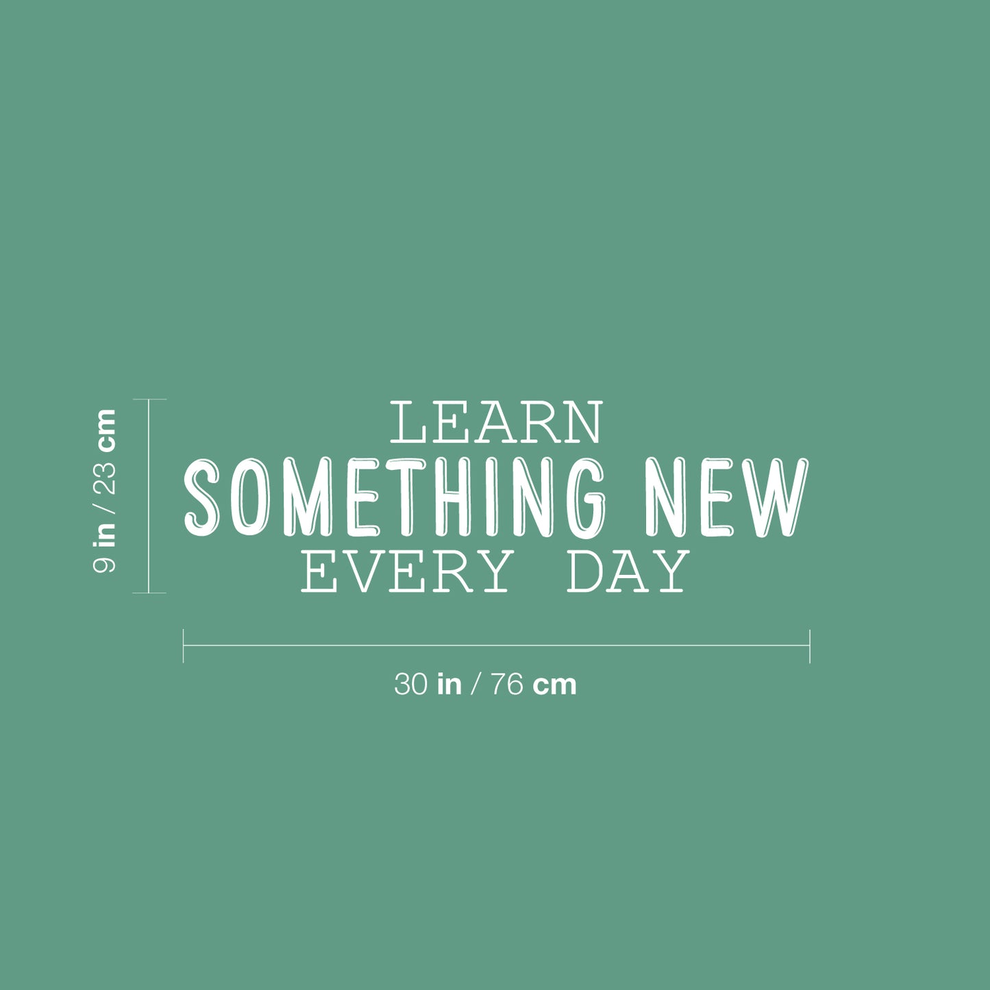 Vinyl Wall Art Decal - Learn Something New Every Day - 9" x 30" - Modern Fun Positive Classroom Quote Sticker for Home Living Room Playroom School Library Educational Decor