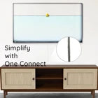 Cable One Connect BN39-02688A For Samsung  QN700 |  QN800 |  QN900 | 8k QLED TV - Boughts.com